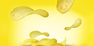 Jak działa chip u człowieka?